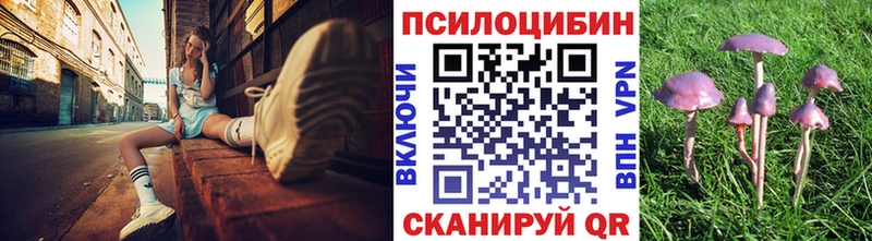 MEGA зеркало даркнет сайт Отрадное Псилоцибиновые грибы прущие грибы